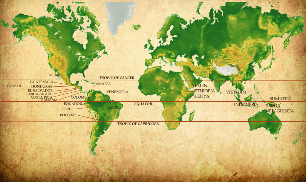 кофейный пояс